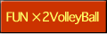 FANx2 VolleyBall
