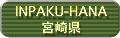 INPAKU-HANA �{�茧