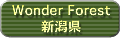 Wonder Forest �V����