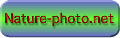 Ntyre-photp.net
